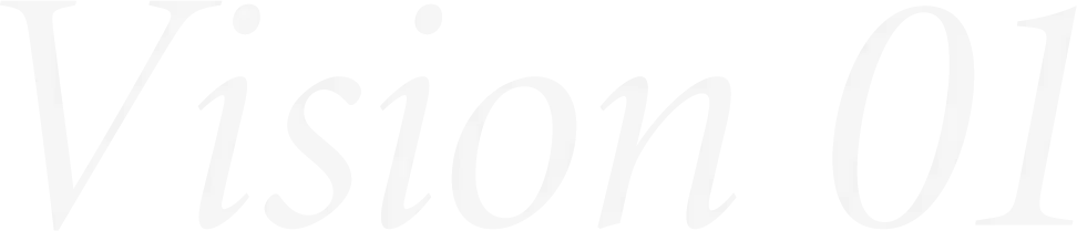 vision01