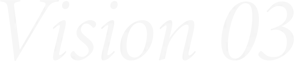 vision03