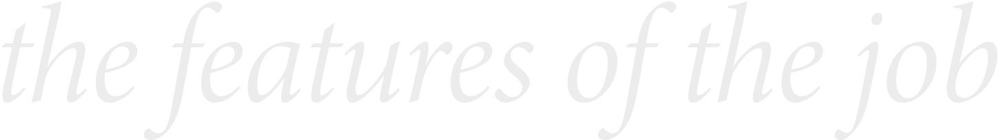 the features of the job
